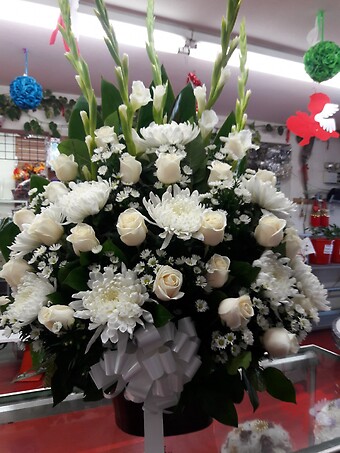 Basket-29