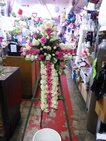 Cross-15